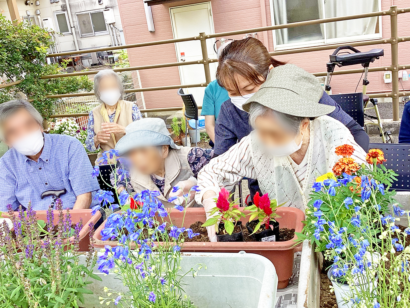 園芸祭を開催しました！