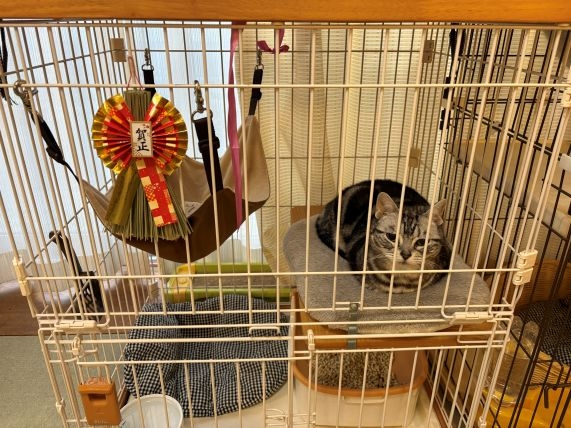 元旦の風景です